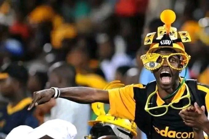 Kaizer Chiefs superfan